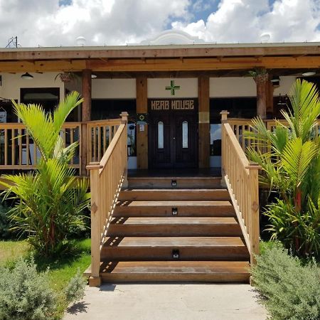 Relax Villa Ocho Rios Zewnętrze zdjęcie